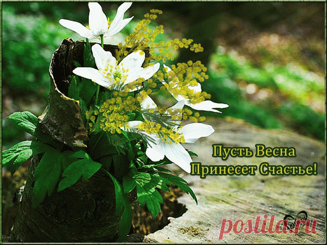 Не прибавляйте годы к своей жизни, прибавьте жизнь к своим годам... 
Шри Рам Чандра