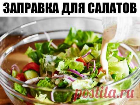 Собираем урожай смородины и малины в десять раз больше