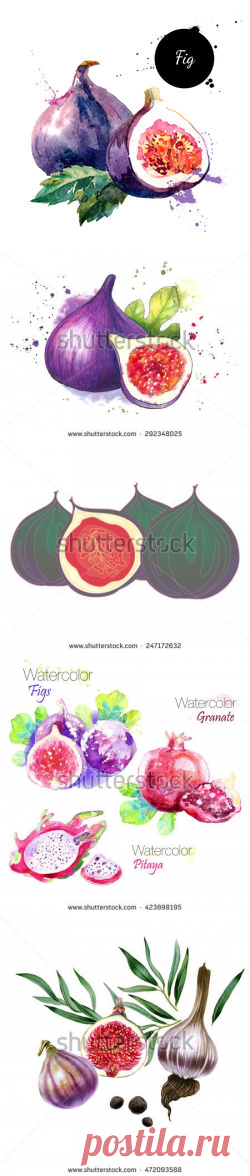 Banco de imágenes. Fotos y vectores libres de derechos - Shutterstock