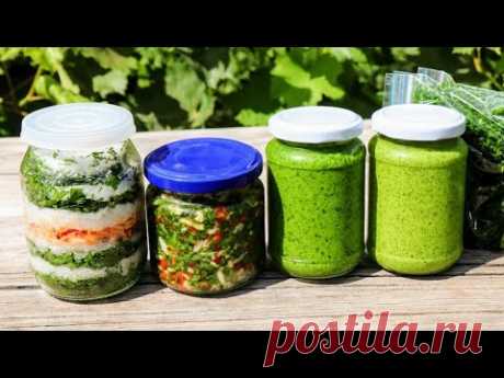 ЗАГОТОВКА ЗЕЛЕНИ на зиму по-новому / Для супов, вторых блюд и к мясу / Заготовка укропа, петрушки