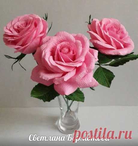 (77) Одноклассники