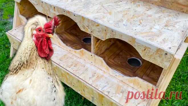 Как сделать гнезда для кур с яйце-приемниками из OSB Куры иногда расклевывают снесенные ими яйца и загрязняют экскрементами. Для сохранности яиц придуманы различные приспособления. Одно из них в виде гнезд для кур с яйце-приемниками рассмотрено ниже. Понадобится Материалы: остатки OSB плит; деревянные бруски; шурупы или саморезы; куски линолеума;