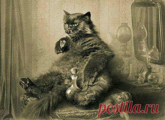 Чаепитие в графстве Чешир