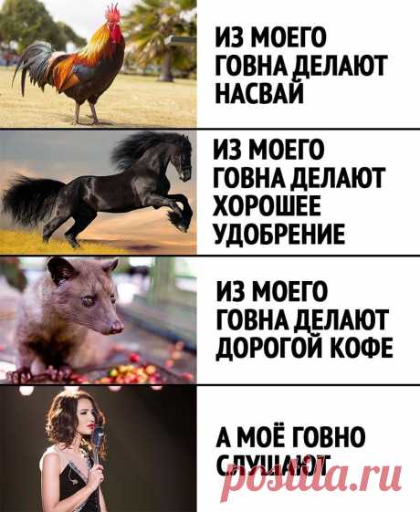 Без комментария