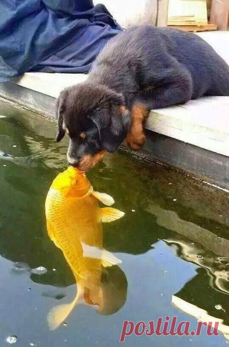 (1) Facebook