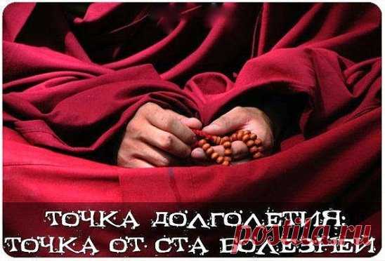 О точке долголетия