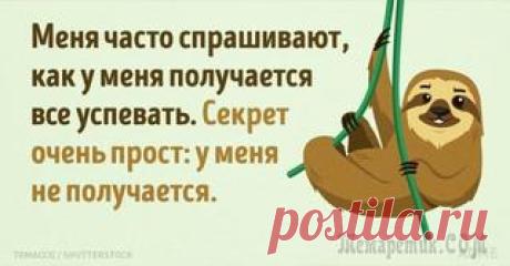 Домашние цветы, приносящие счастье и благополучие