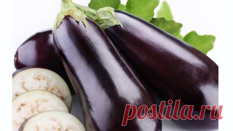 5 потрясающих летних блюд из баклажана Баклажаны — полезный и вкусный овощ. Его можно мариновать, солить, жарить или запекать — вариантов масса! В сезон его созревания обязательно стоит попробовать хотя бы несколько блюд. Даже если вам или вашим родным не очень