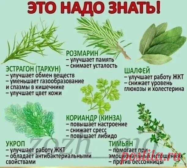 (2) Мой Мир@Mail.Ru
