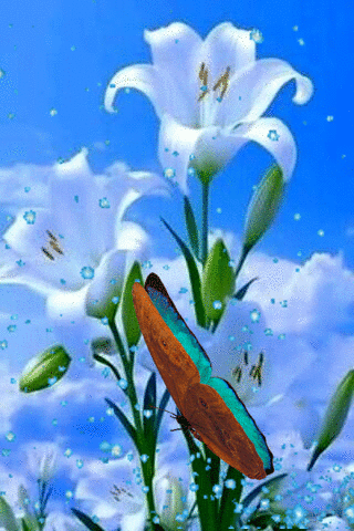 Лето