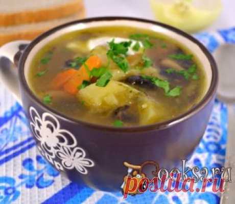 Рассольник с грибами и овсянкой в мультиварке фото рецепт приготовления