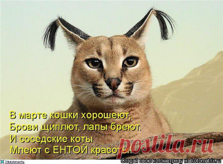 Примадонна