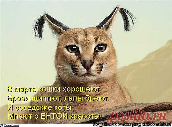Примадонна