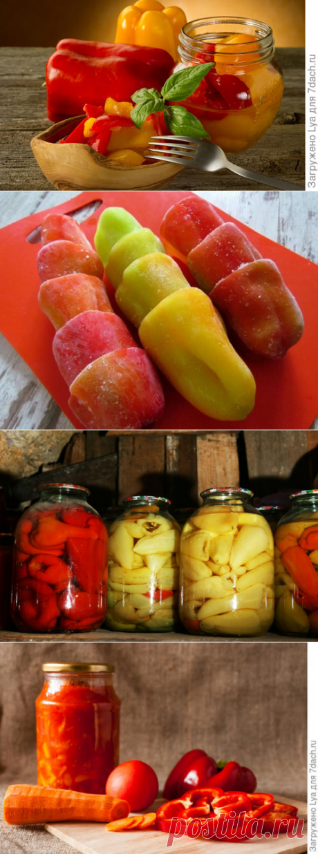 Перец: самые выгодные и вкусные заготовки на зиму