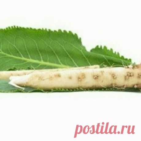 Эти природные антибиотики с успехом заменят аптечные лекарства! Лечись с пользой для здоровья.