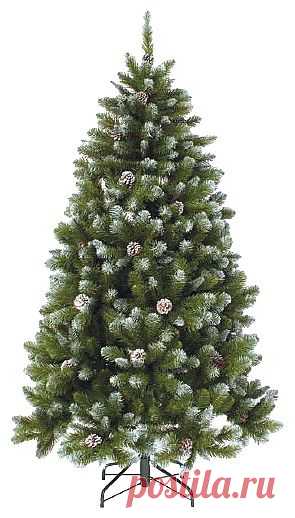 Ель Triumph Tree Императрица с шишками заснеженная 2.3, Интернет магазин PRIMA vasta