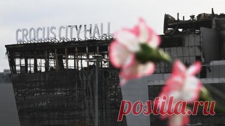 Экс-генерал: за вербовкой устроивших теракт в &quot;Крокусе&quot; стояли англосаксы