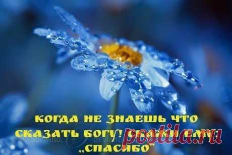 Интересные новости