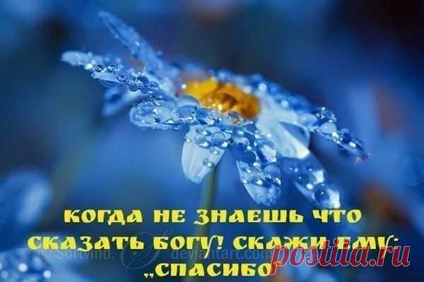 Интересные новости