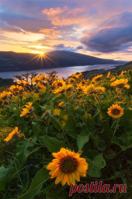 Beautiful Sunrise and Sunset amaze your eyes