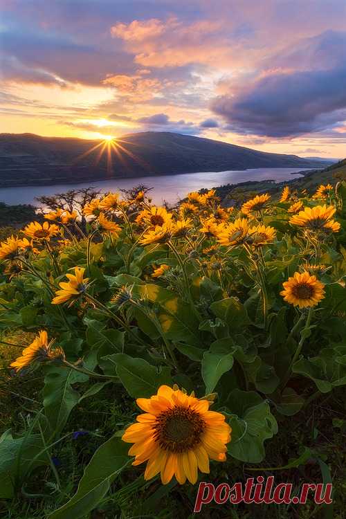 Beautiful Sunrise and Sunset amaze your eyes