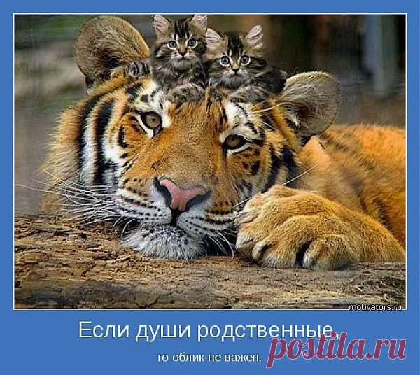 Подкидыши