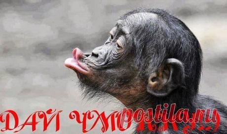 Интересные новости