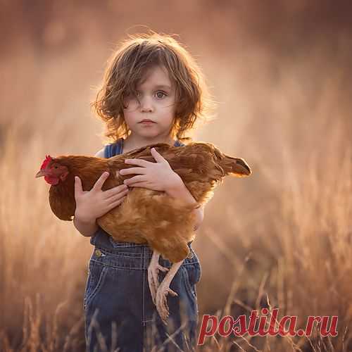 ljholloway photography 

Facebook