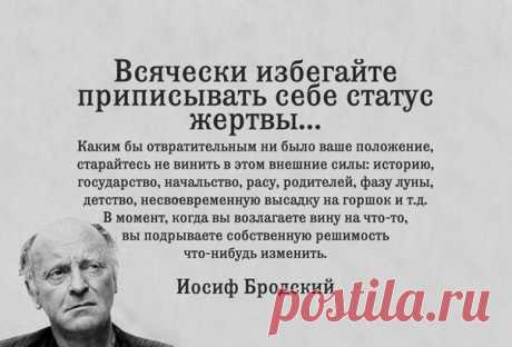TSitata_Brodskiy.jpg (604×410)