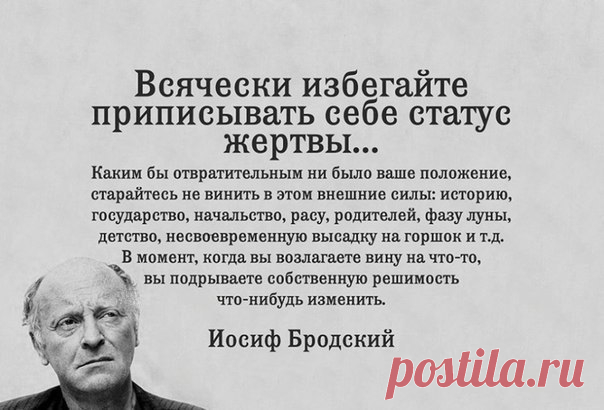 TSitata_Brodskiy.jpg (604×410)