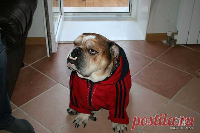 Павел Азаров
35 лет, Россия, Смоленск