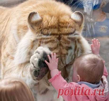 20 фото, которые вызовут и смех, и слезы, и тихую радость | Болтай