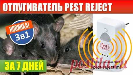 Отпугиватель грызунов и насекомых Pest-Reject - ЛУЧШАЯ ЗАЩИТА ВАШЕГО ДОМА И ИМУЩЕСТВА!
Достаточно просто вставить в розетку!

подкормки овощей
Давно боритесь с тараканами, или у Вас завелись мыши, а может просто комары замучили? Тогда Вам обязательно нужно приобрести новое универсальное устройство для отпугивания грызунов и насекомых Pest-Reject.
платья для девочки спицами
Это электронное устройство позволит забыть о надоедливых вредителях! Pest-Reject работает от обычной розетки 220В.