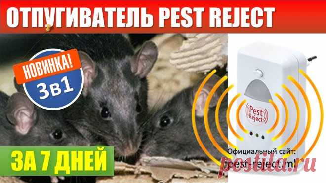 Отпугиватель грызунов и насекомых Pest-Reject - ЛУЧШАЯ ЗАЩИТА ВАШЕГО ДОМА И ИМУЩЕСТВА!
Достаточно просто вставить в розетку!

подкормки овощей
Давно боритесь с тараканами, или у Вас завелись мыши, а может просто комары замучили? Тогда Вам обязательно нужно приобрести новое универсальное устройство для отпугивания грызунов и насекомых Pest-Reject.
платья для девочки спицами
Это электронное устройство позволит забыть о надоедливых вредителях! Pest-Reject работает от обычной розетки 220В.