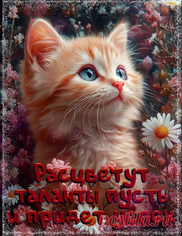 Картинка с котиком и пожеланием