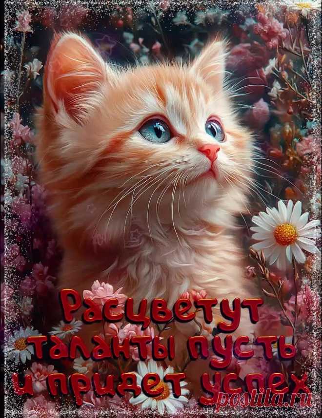 Картинка с котиком и пожеланием