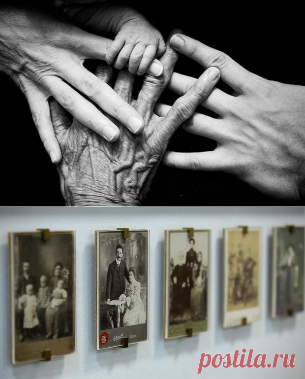 Секрет семи поколений рода: зачем всегда нужно знать своих предков?