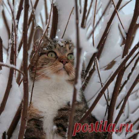 •°Позитив и умиление!°•