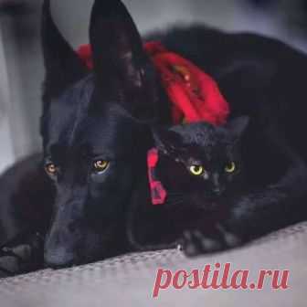(87) Facebook