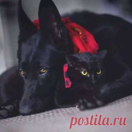 (87) Facebook
