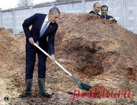 Фотожабы (80 фото)