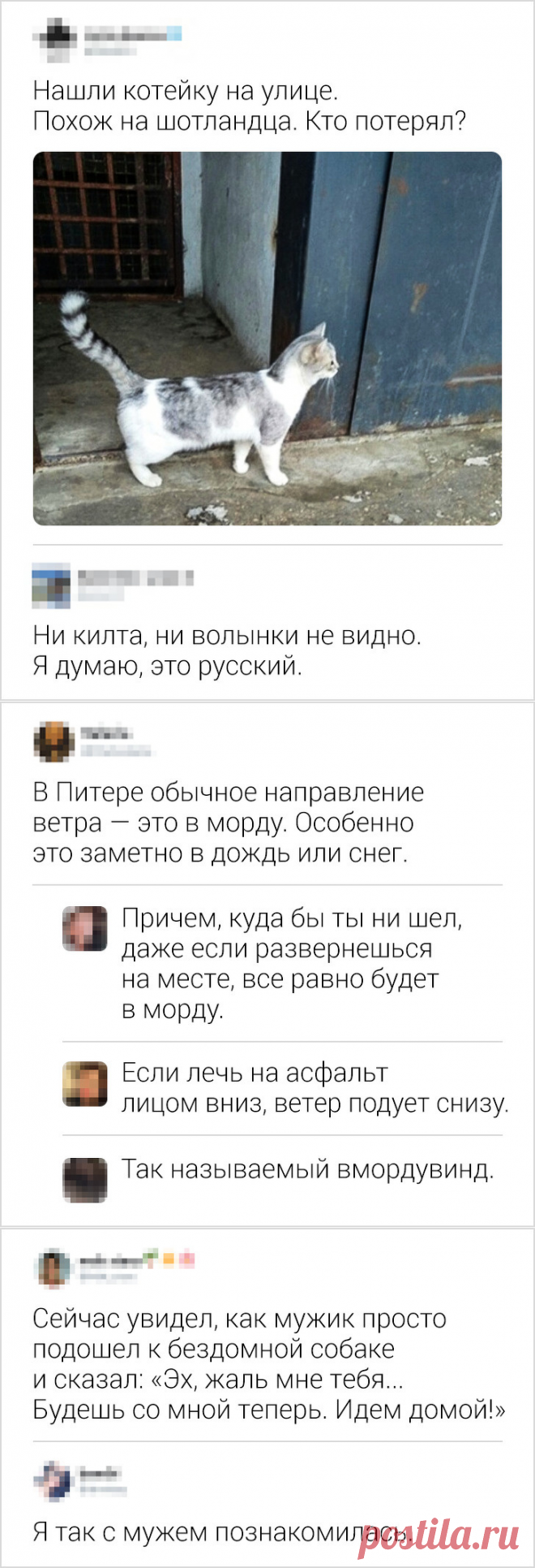 15 ехидных комментариев от тех, кто умеет сразить своими словами наповал