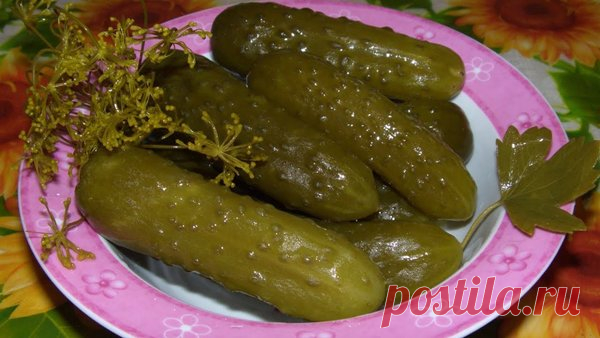 Рецепт солёных огурцов от лучшего шеф-повара страны | Comfort Food | Яндекс Дзен