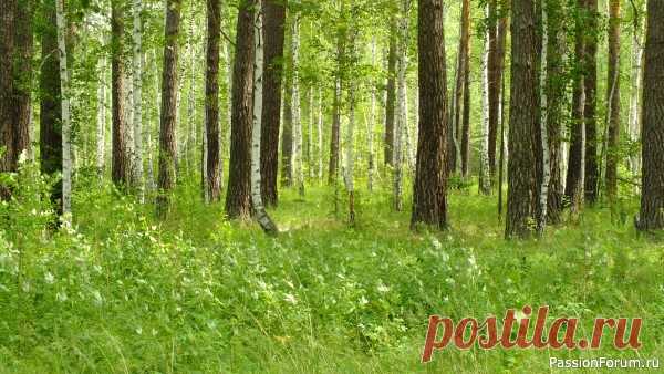 ПО СЛЕДАМ ДОМОВОГО 7 | Разговоры на любые темы