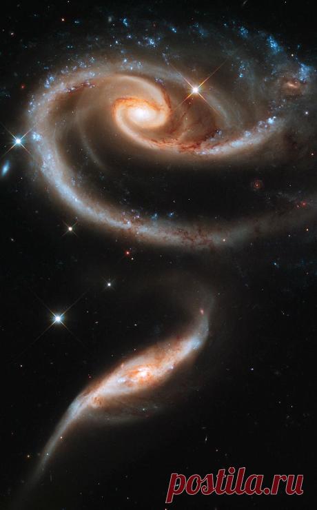 Найдено на сайте spacetelescope.org.