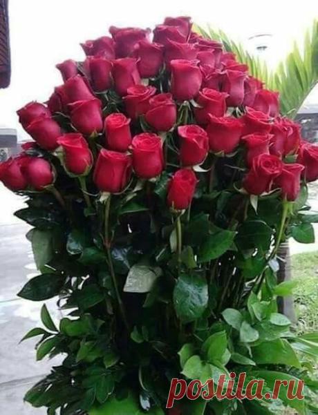 Милые девочки, девушки,женщины,бабушки ))) Это для ВАС ❤)))