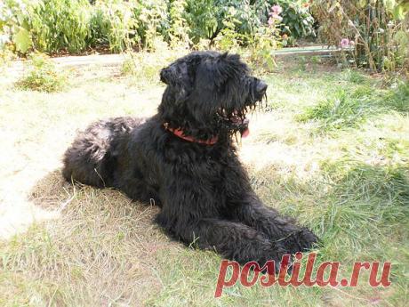 Мой Мир@Mail.Ru