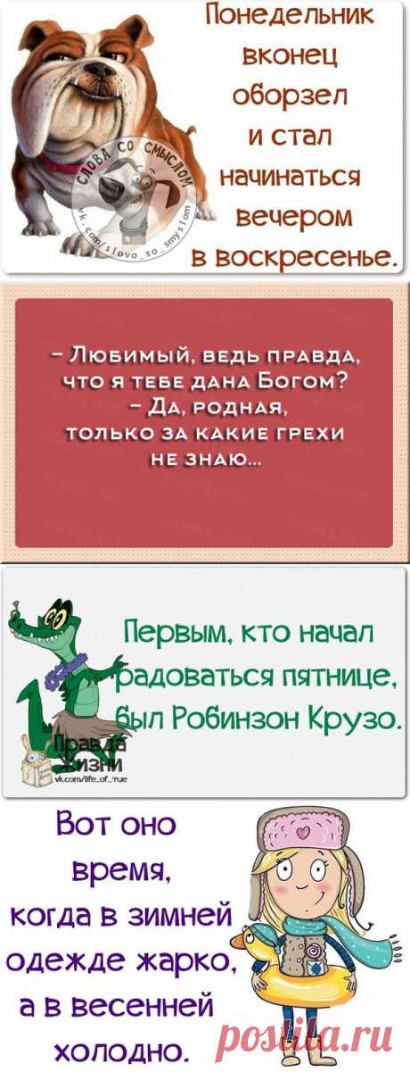Юмор и приколы | Записи в рубрике Юмор и приколы | Дневник anngol
