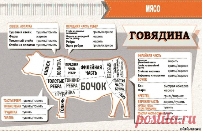 шпаргалка для кухни