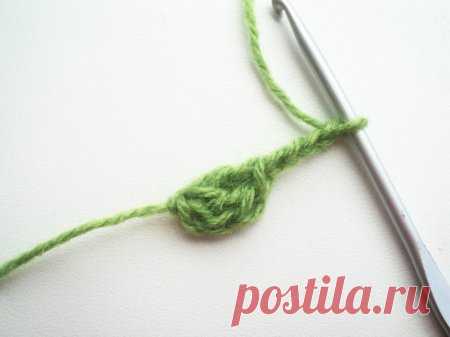 Боснийский бактус крючком